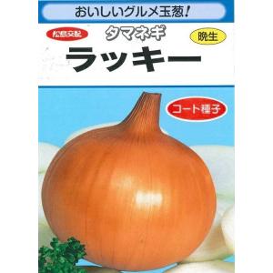 野菜種子 グルメタマネギ「ラッキー」 ペレット1,000粒（渡辺採種場）【送料込み】 玉葱 玉ねぎ 玉ネギ たまねぎ 晩生