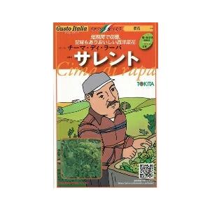 野菜種子 ナバナ「サレント」 80粒（トキタ種苗）【送料込み】 西洋菜花 菜の花 なばな なのはな ...