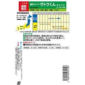 野菜種子 極甘キャベツ「サトウくん」 コ-ト4...の詳細画像1