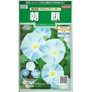 花種子 朝顔「西洋系 フライングソーサー」 1ml（サカタのタネ）【送料込み】 あさがお アサガオ モーニンググロリー