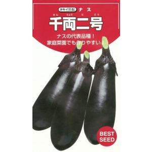 野菜種子 ナス「千両二号」 50粒(タキイ種苗)...の商品画像