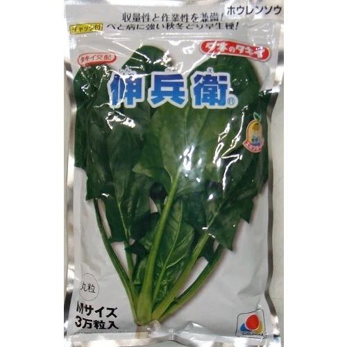 野菜種子 ホウレンソウ「伸兵衛」 М3万粒（タキイ種苗）【送料込み】 しんべえ シンベエ ホウレン草...