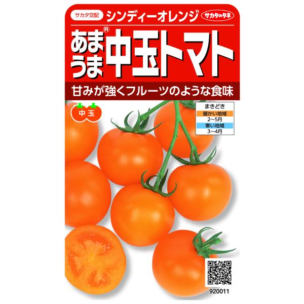 野菜種子 あまうま中玉トマト「シンディーオレンジ」 13粒（サカタのタネ）【送料込み】 とまと 極早...