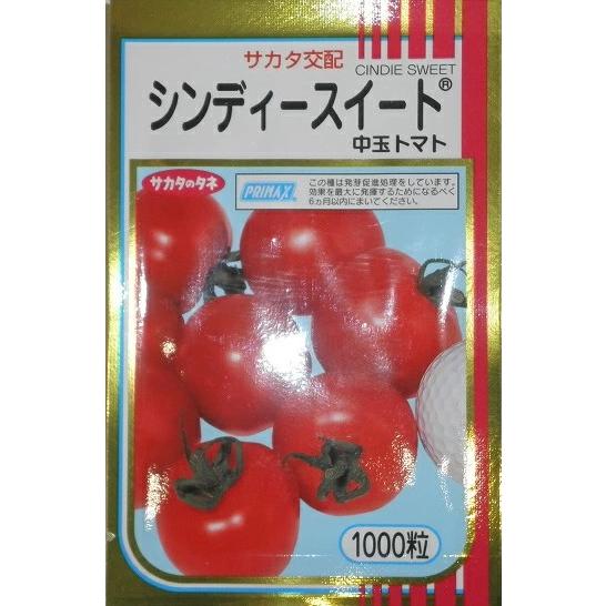 野菜種子 あまうま中玉トマト「シンディースイート」 1,000粒（サカタのタネ）【送料込み】 耐病性...
