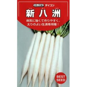 野菜種子 漬物ダイコン「新八洲」 9ml（約270粒）（タキイ種苗）【送料込み】 しんはっしゅう シンハッシュウ 大根 だいこん 生漬け専用 耐病性 早太り性