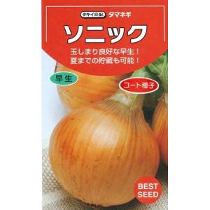 野菜種子 大玉タマネギ「ソニック」 2Lペレット1,000粒（タキイ種苗）【送料込み】 玉葱 玉ねぎ 玉ネギ たまねぎ 早生 貯蔵性