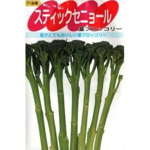 サカタのタネ ブロッコリー アーリーキャノン 2000粒 : 種苗・園芸