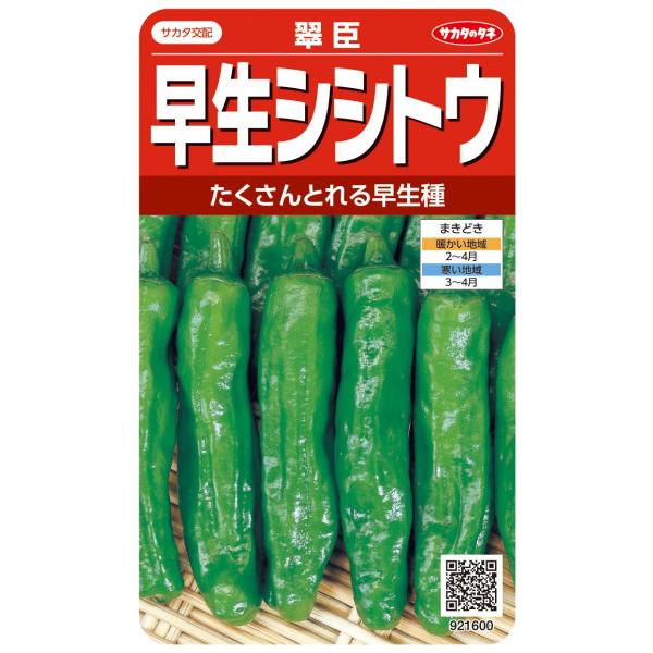 野菜種子 早生シシトウ「翠臣」 0.6ml（サカタのタネ）【送料込み】 すいしん スイシン ししとう...