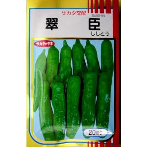 野菜種子 早生シシトウ「翠臣」 20ml（サカタのタネ）【送料込み】 すいしん スイシン ししとう ...