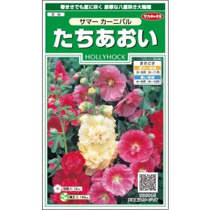 花種子 たちあおい「サマー カーニバル」 2ml（サカタのタネ）【送料込み】 立葵 タチアオイ 梅雨葵 つゆあおい コケコッコの花 ホリホック サマーカーニバル