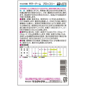 野菜種子 ブロッコリー「サマードーム」 125...の詳細画像1