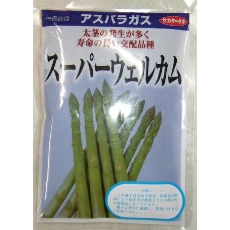 野菜種子 アスパラガス「スーパーウエルカム」 1dl（サカタのタネ）【送料込み】