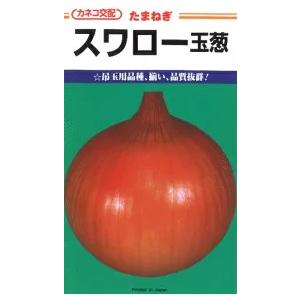 野菜種子 タマネギ「スワロー」 20ml（カネコ種苗）【送料込み】 玉葱 玉ネギ 玉ねぎ たまねぎ 晩生 貯蔵性 秋まき