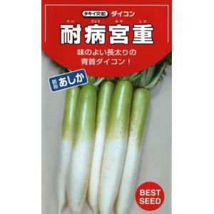 野菜種子 青首ダイコン「耐病宮重」 18ml（タキイ種苗）【送料込み】 タイビョウミヤシゲ たいびょうみやしげ アシカ あしか 青首大根 だいこん