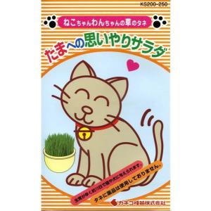 ペット用えん麦種子「たまへの思いやりサラダ」 30g（カネコ種苗）【送料込み】 ねこちゃんわんちゃんの草のタネ 猫 犬 燕麦 エン麦 エンバク 猫草 KS200-250