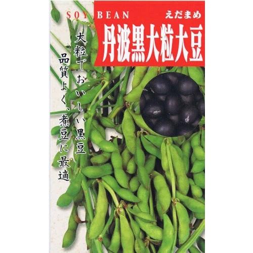 【京都・兵庫特産】野菜種子 エダマメ「丹波黒大粒大豆」 35ml(約30粒)（タキイ種苗）【送料込み...
