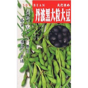 【京都・兵庫特産】野菜種子 エダマメ「丹波黒大粒大豆」 1dl【送料込み】 だんばくろ たんばぐろ 枝豆 えだまめ 晩生 野菜 やさい 種 たね 家庭菜園 園芸 農業