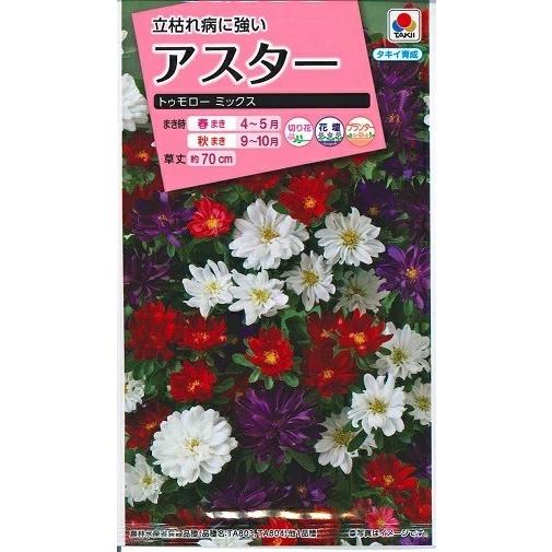 花種子 アスター「トゥモロー ミックス」 0.3ml（タキイ種苗）【送料込み】 蝦夷菊 エゾギク 薩...