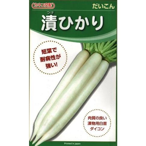 野菜種子 漬物用ダイコン「漬ひかり」 2dl（カネコ種苗）【送料込み】 つけひかり ツケヒカリ 白首...
