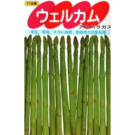 野菜種子 アスパラガス「ウェルカム」 20ml（サカタのタネ）【送料込み】 うえるかむ ウエルカム ...