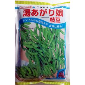 野菜種子 エダマメ「湯あがり娘」 2,000粒（カネコ種苗）【送料込み】 ゆあがりむすめ ユアガリムスメ 茶豆風味 枝豆 えだまめ 中早生 白毛 農林水産省登録品種