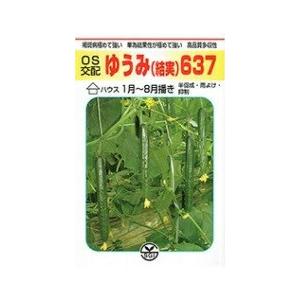 野菜種子 キュウリ「ゆうみ637」 350粒（埼玉原種育成会）【送料込み】 胡瓜 きゅうり 結美 多...
