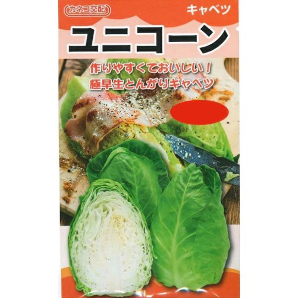 野菜種子 とんがりキャベツ「ユニコ−ン」 ペレット5,000粒（カネコ種苗）【送料込み】 甘藍 きゃ...