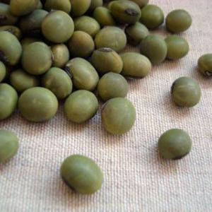 あおばた豆 1kg 2025年産 令和7年産 山形県産 青大豆 : 豆・雑穀の専門