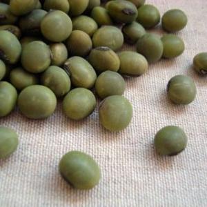 あおばた豆 5kg 2021年 山形県産 青大豆 業務用パック