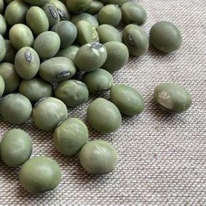 あおばた豆 5kg 2025年産 令和7年産 山形県産 青大豆 送料無料 業務用