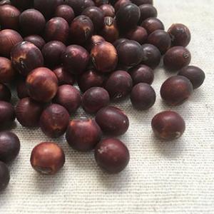 クリアランスセール 紅大豆 1kg 2022年 山形県川西町産