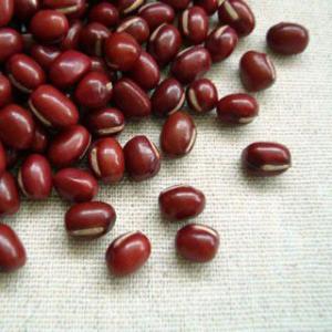 大納言小豆 1kg 2025年産 令和7年産 北海道産