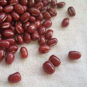 エリモ 小豆 1kg 2023年 北海道産