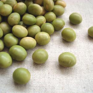 大豆 秘伝豆 800g 2025年産 令和7年産 山形県産 青大豆 チャックつき 送料