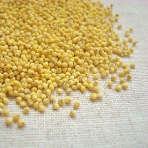 いなきび 1kg 2022年 岩手県産