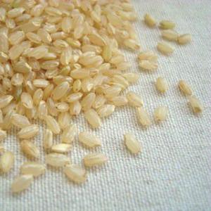 クリアランスセール 香り米 500g 平成28年 高知県産 送料無料 メール便 [M便 1/2]｜suzuya-rice