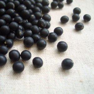 黒千石 800g 2025年産 令和7年産 北海道産 小粒黒豆 チャックつき 送料無料 メール便 [...