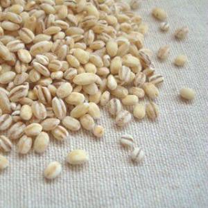 丸麦 5kg 2023年 岩手県産 大麦