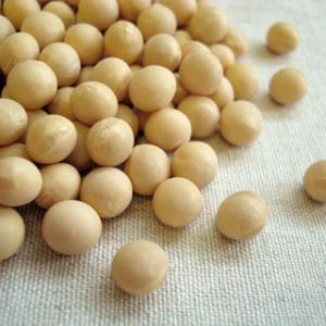 大豆 30kg 2024年産 令和6年産 宮城県産 ミヤギシロメ 送料無料 業務用紙袋 ※あすつく対...