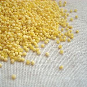 もちきび 500g 2025年産 令和7年産 長崎県産