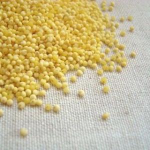もちきび 1kg(500g×2) 2025年産 令和7年産 北海道産