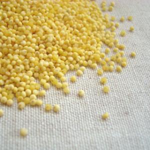 もちきび 500g 2025年産 令和7年産 北海道産