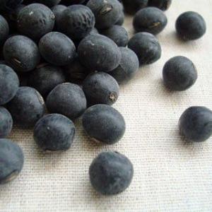 丹波黒豆 2L 500g 2025年産 令和7年産 滋賀県産 送料無料 メール便 [M