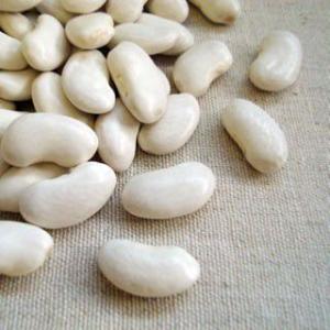 大福豆 1kg 2023年 北海道産 白いんげん
