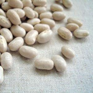 期間限定価格⭐群馬県産　白いんげん豆　令和６年度産　3.5キロ ゆうパケット送料無料】無農薬 手亡豆 900g 北海道産【在来種】令和7