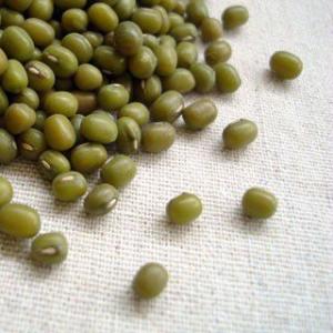 緑豆 1kg 中国産