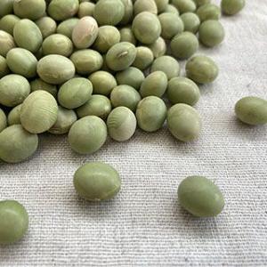 高原花豆 400g 2025年産 令和7年産 長野県産 : 豆・雑穀の専門店