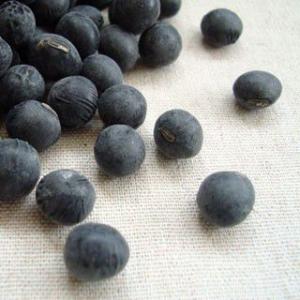 丹波黒豆 500g 2025年産 令和7年産 丹波篠山産 2L : 豆・雑穀の専門店