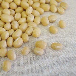 白小豆 1kg 2023年 北海道産