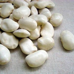 高原花豆 400g 2025年産 令和7年産 長野県産 : 豆・雑穀の専門店